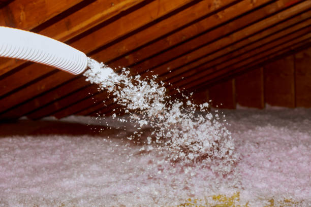 Best Insulation Repair Services  in Lodi, CA