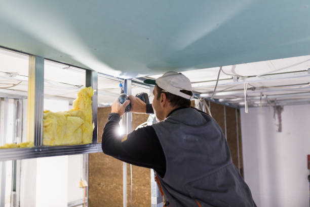 Professional Insulation Contractor in Lodi, CA