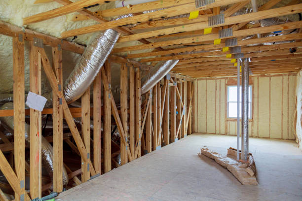 Best Insulation Inspection Services  in Lodi, CA