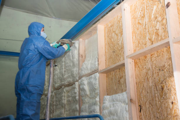 Best Affordable Insulation Services  in Lodi, CA