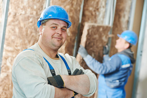 Best Insulation Inspection Services  in Lodi, CA